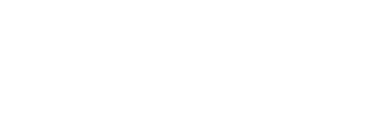 Logo | Business NSW